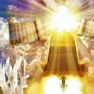 Meet your Posher, Janine